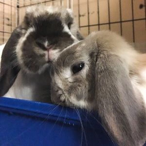 Meet your Posher, Ashlyn